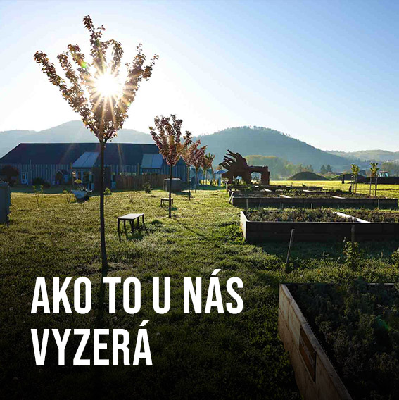 Jak to u nás vypadá